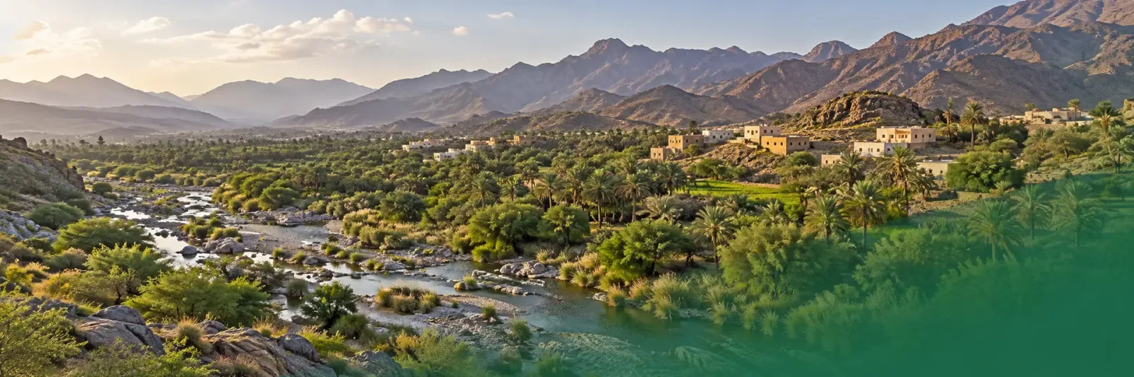 المجاردة